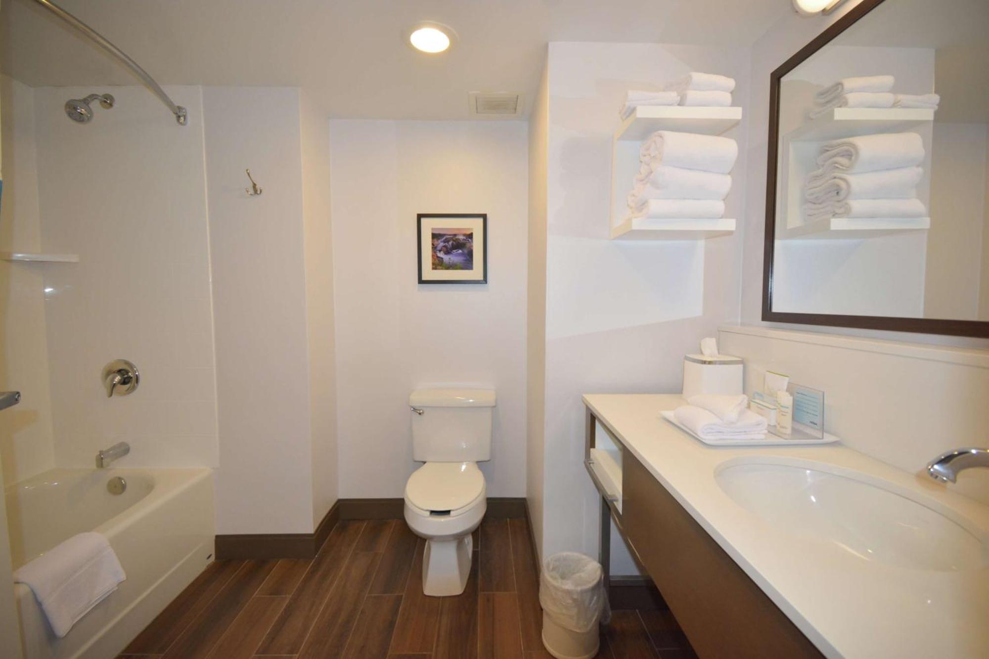 Hampton Inn Salem East - Electric Road Eksteriør bilde