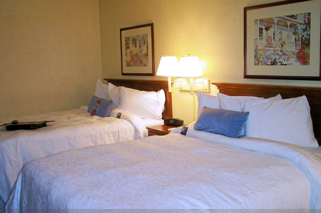 Hampton Inn Salem East - Electric Road Rom bilde
